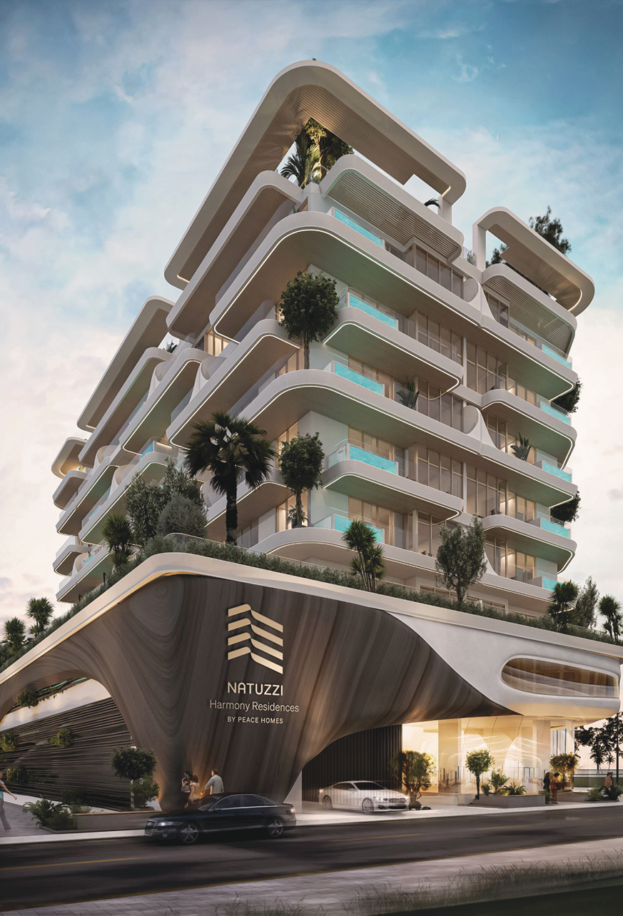 Project Detail Image