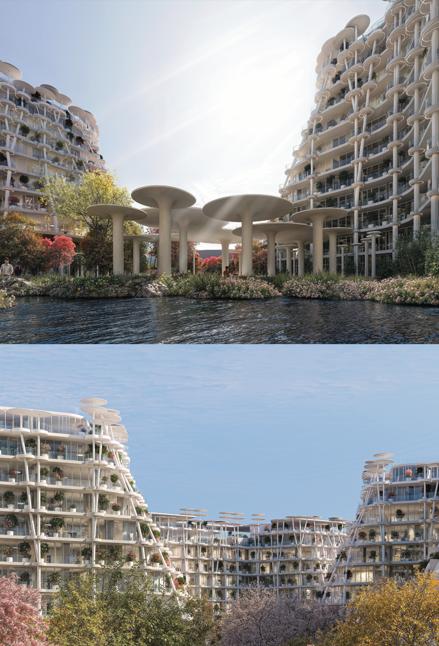 Project Detail Image
